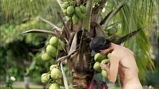 Small Latina Milf Gives Delicious Outdoor Blowjob