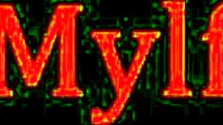 Veils, Tails, And Family Tales In Wedding Fantasy