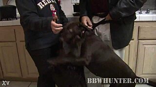 Chatting about Nina, the curvy BBW lady