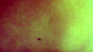 How I Adore Riding My Brother-in-Law's Cock with Pure Emotion