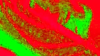 The Birthday Dinner That Ended with Passionate Wife Intimacy