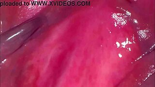 amateur shaved pink pussy close up 275 days post virginity loss