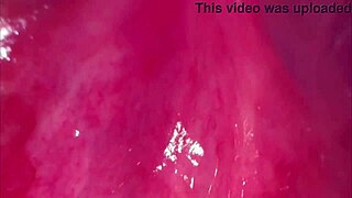 amateur shaved pink pussy close up 275 days post virginity loss