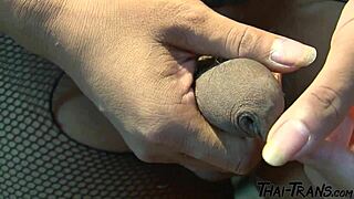 Petite Thai Shemale in Bangkok Hooks Up for Bareback Anal with Hung Client