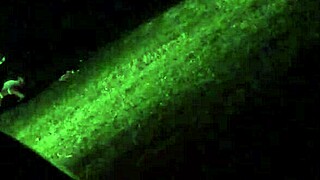 Whoa, caught my wife cheating red-handed on cam! 👀😲