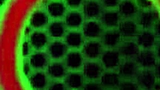 Rome Major pounds Andi Ray's plump milf cunt with BBC creampie finish