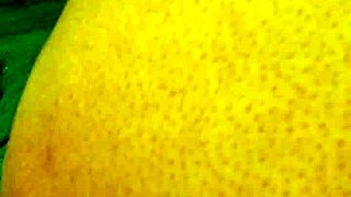 dozier313, you slamming that ebony bbw ass doggystyle for creampie outdoor?