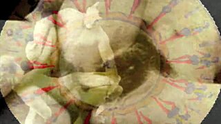 Vintage Erotic Art Featuring Retro Beaver Displays