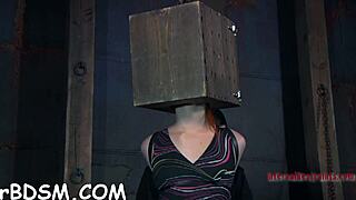 bold beauties compete sucking cocks and fucking pussies in hardcore pleasure contest