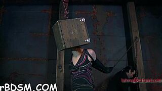 bold beauties compete sucking cocks and fucking pussies in hardcore pleasure contest