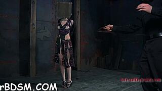 bold beauties compete sucking cocks and fucking pussies in hardcore pleasure contest