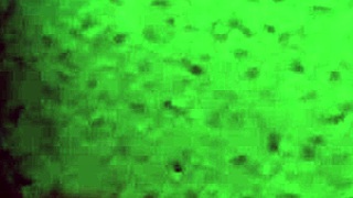 ven a tomar una ducha conmigo amor