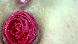 destroyed juicy prolapse asshole gaped in close up anal play