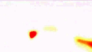 Milf Mommy Porsha Rides Cock Like a Total Whore!