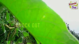 uncut tamil wife hot scenes this week 😍 romantic indian fun